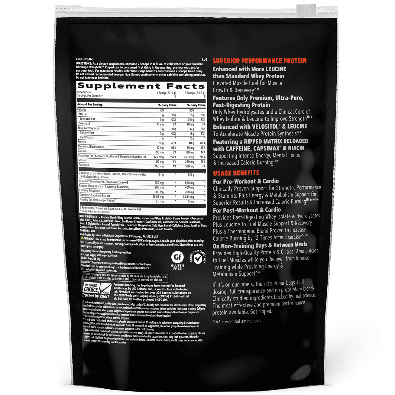 GNC AMP Wheybolic(TM) Ripped Protein Powder, Chocolate Fudge, 1.1 lbs, 40g Whey Protein