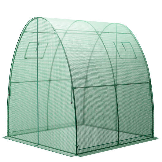 6 x 6 x 6.6 FT Outdoor Wall-in Tunnel Greenhouse-Green